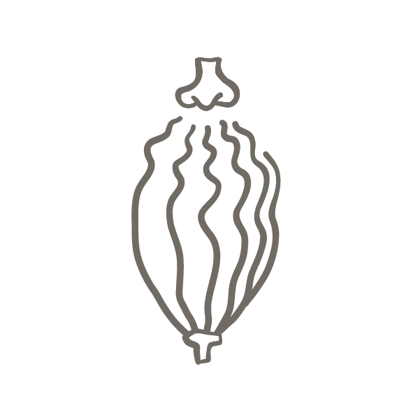 Felchlin Icons Riechen